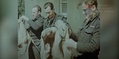 Video - snímek V001_00-00-20