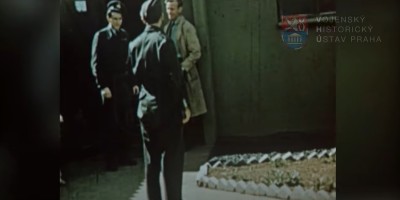 Video - snímek V001_00-14-12