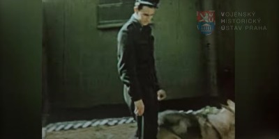 Video - snímek V001_00-14-13