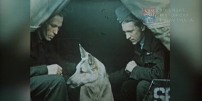 Video - snímek V001_00-14-20