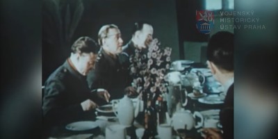 Video - snímek V001_00-15-03