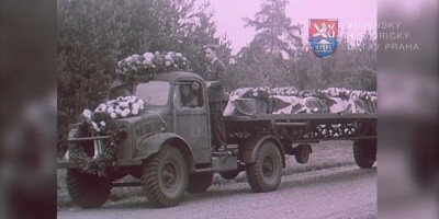 Video - snímek V002_00-20-19